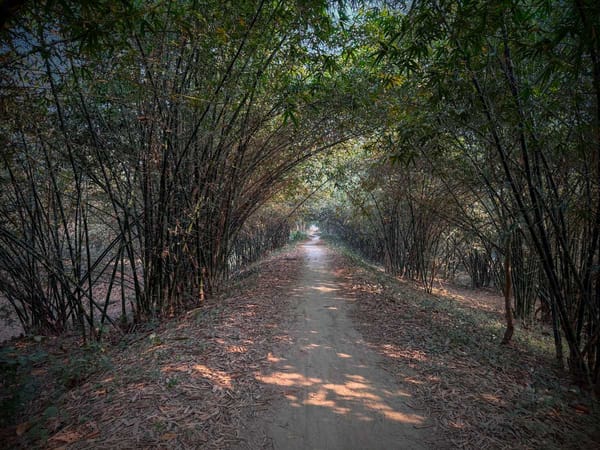 The battlefield at Plassey in West Bengal, India, today